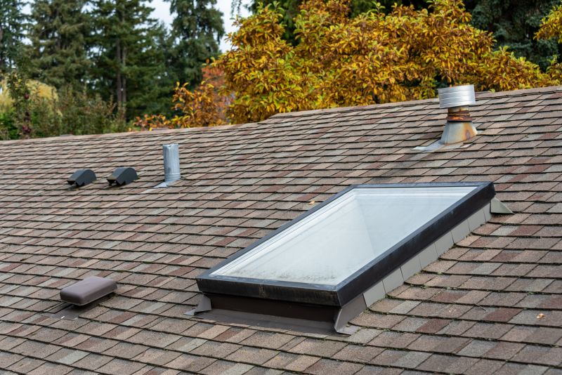 Ensure The Condition of Your Roof