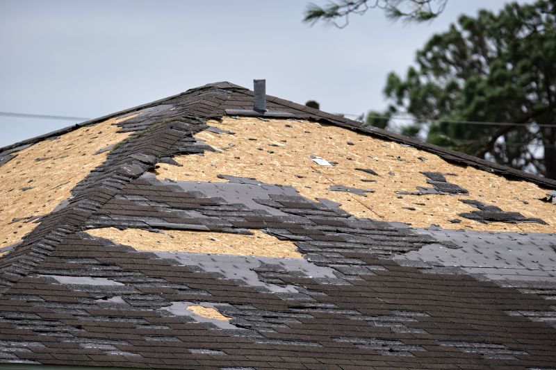 Detailed Roof Damage Assessment